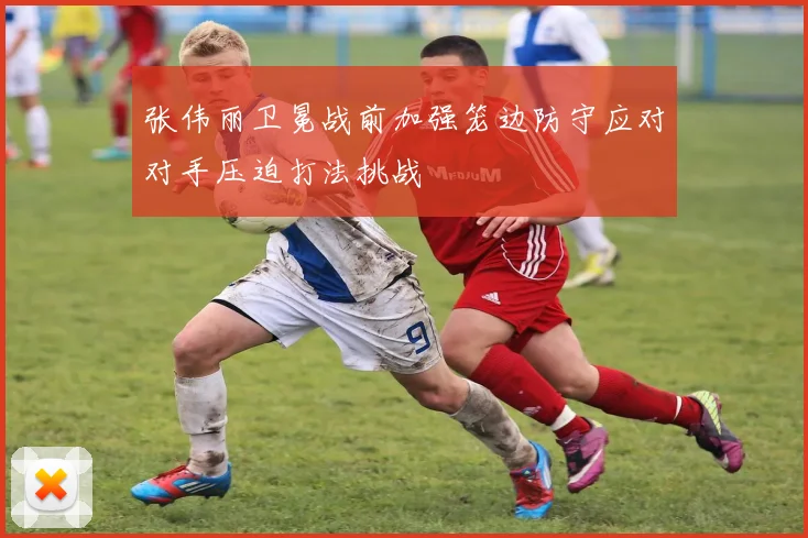 张伟丽卫冕战前加强笼边防守应对对手压迫打法挑战